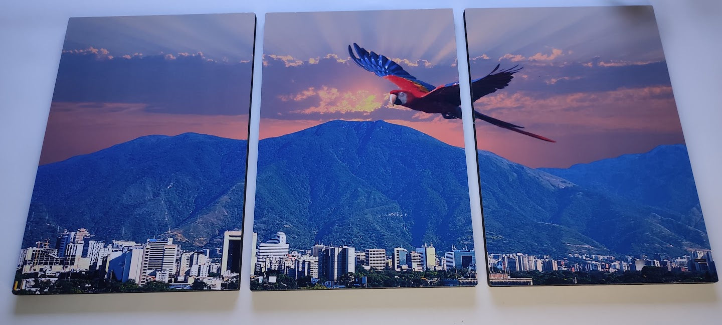 Cuadro triple compuesto 60x30cm