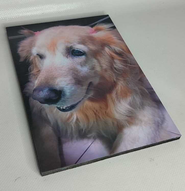 Cuadro rectangular 20x30cm