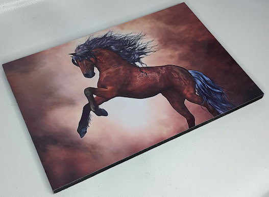 Cuadro rectangular 20x30cm
