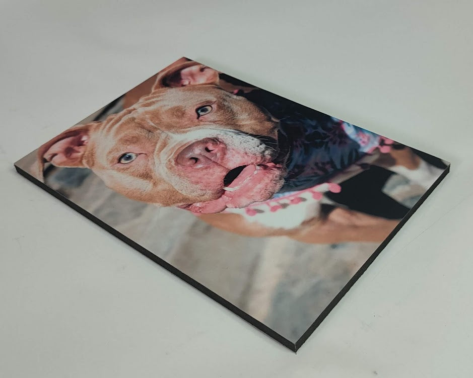 Cuadro rectangular 20x30cm