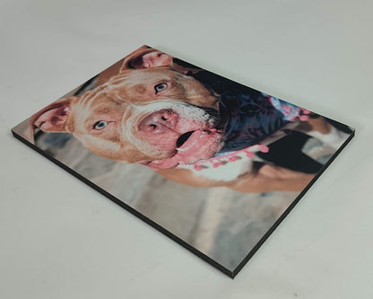 Cuadro rectangular 20x30cm