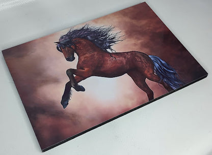 Cuadro rectangular 20x30cm